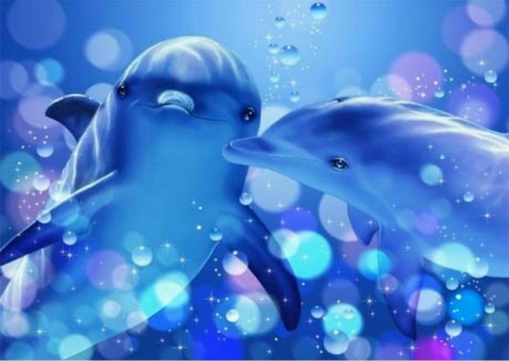 delfini innamorati – Fantastici animali! Il blog di Camilla